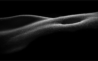 British Photographic Exhibition Success for Lloyd Moore