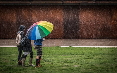 Watford Multiple Sclerosis Society Calendar – Projected Digital Image Competition