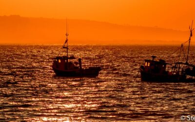 Fishing boats at dawn_Steve Meekins