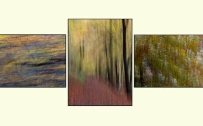 1st Place - Triptych-Print - Autumn Trees_Simon Peters