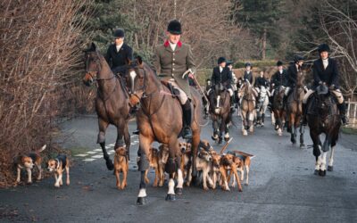 3rd Place - Tally Ho_Steve Bond