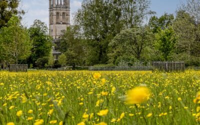 General 3rd Place - Magdalen College and Grounds_David Eckland